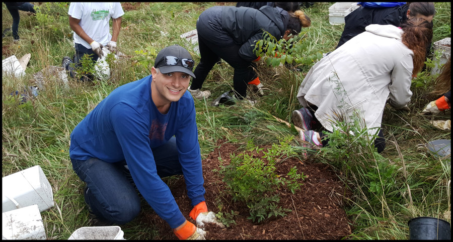 Cedarvale tree planting